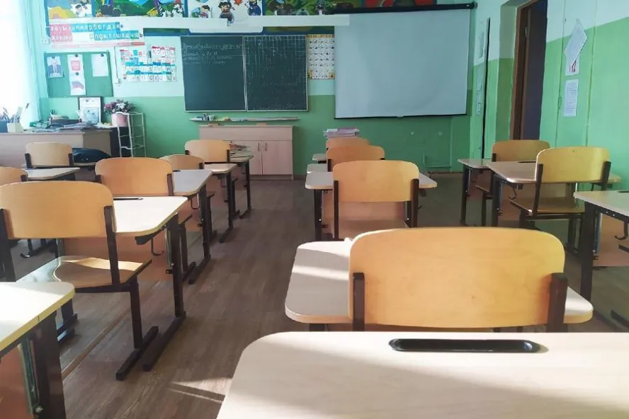 В двух школах Тамбова приостановили очные занятия из-за ОРВИ
