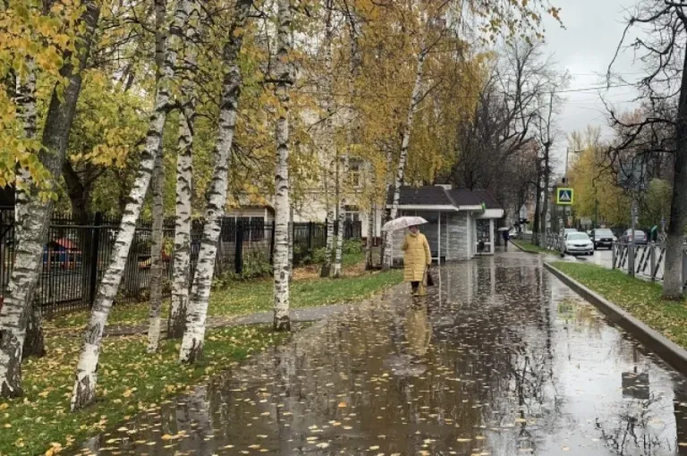 Тамбовские школьники получили медали за спасение тонущего мужчины на Цне