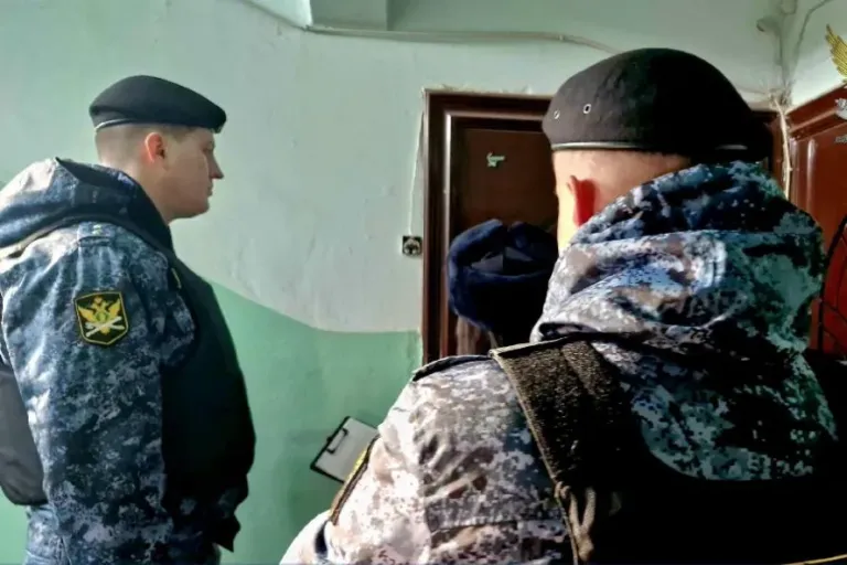 Кирсановец получил полгода колонии за долг по алиментам 2 млн рублей