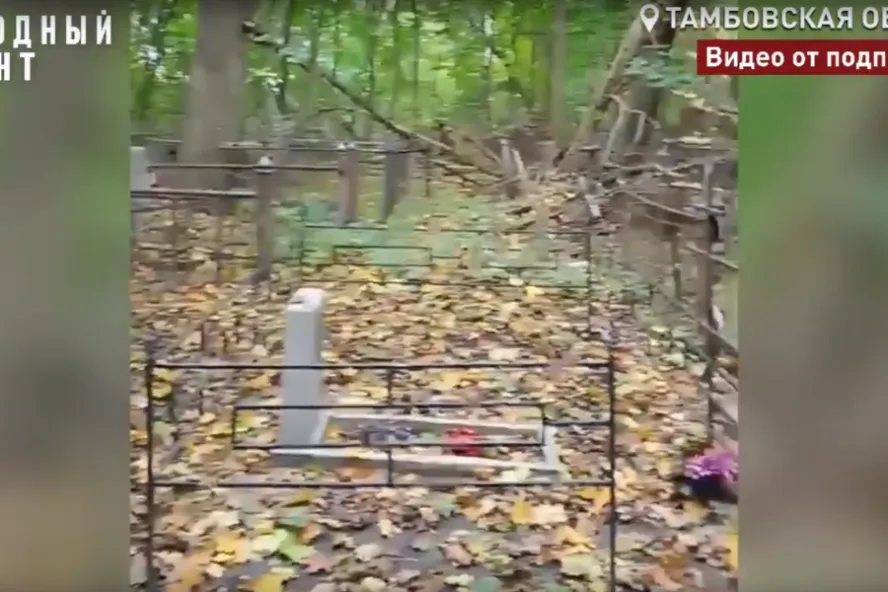 Активисты просят благоустроить старейшее кладбище Мичуринска